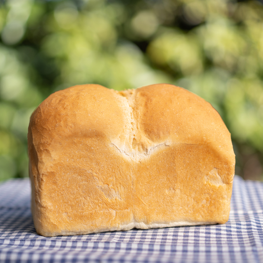 普通食パン（大型ケース）の商品画像