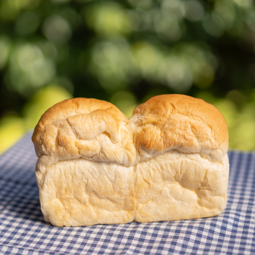 普通食パン小型ケースの画像